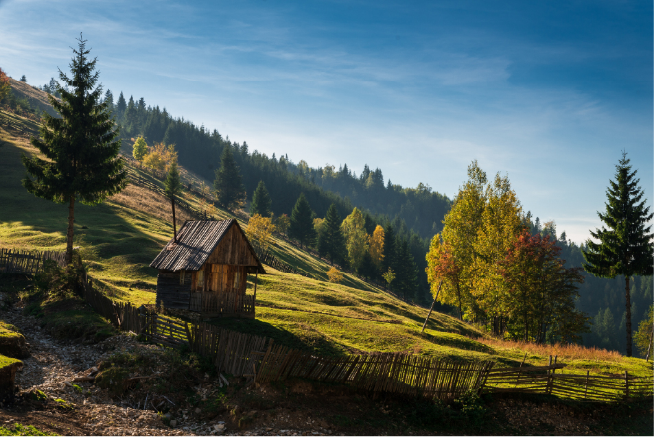A wooden cabin on a grassy hillside - Ophiuchus Healing Center